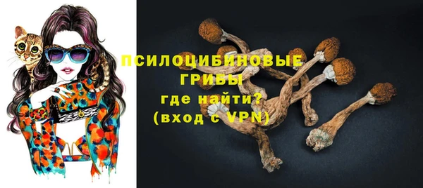бошки Арсеньев